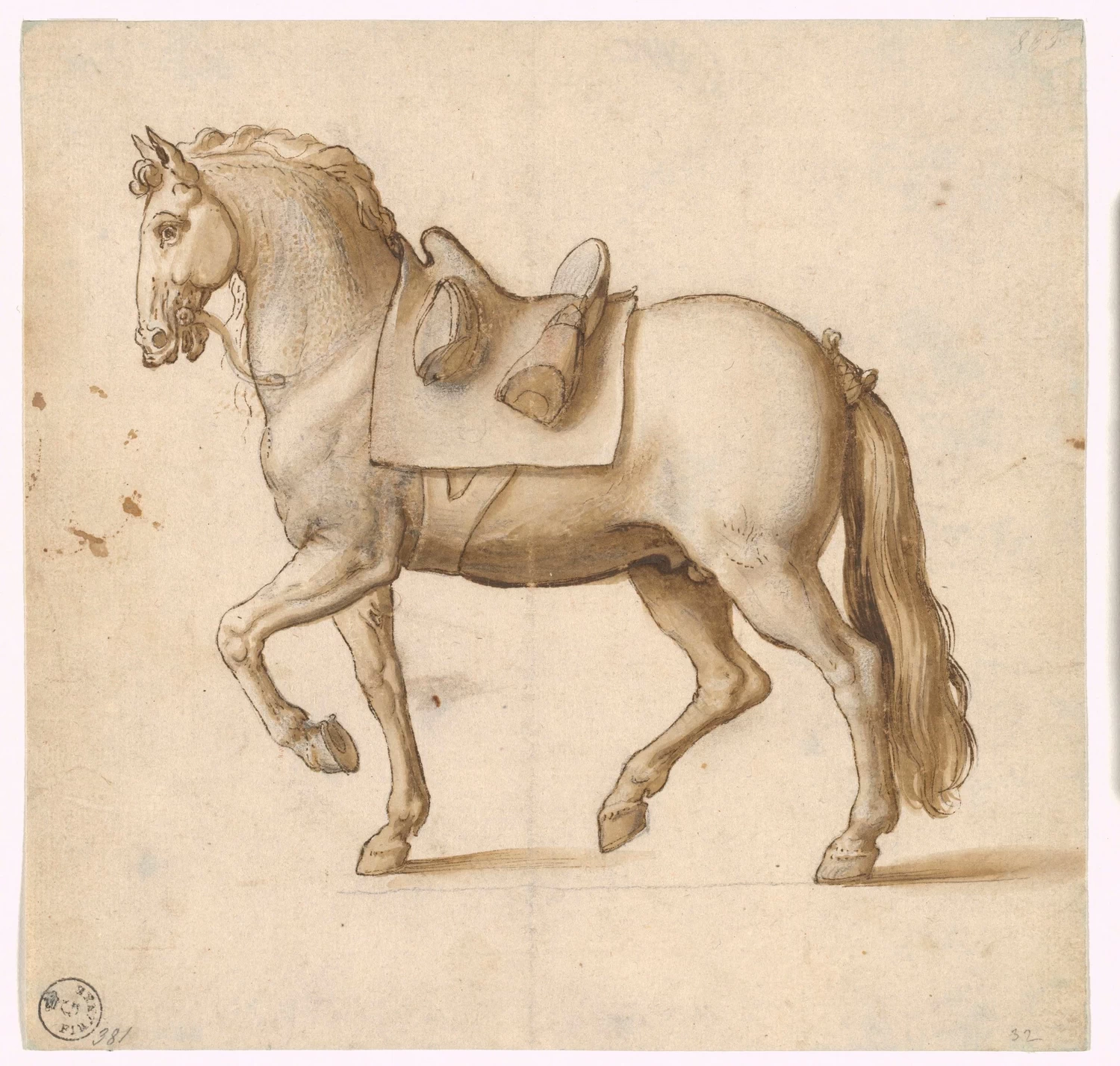 Cavallo sellato di profilo verso sinistra - Gallerie degli Uffizi, Firenze